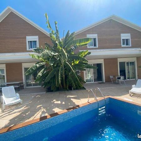 Villa Soleil Étang-Salé les Bains Eksteriør bilde